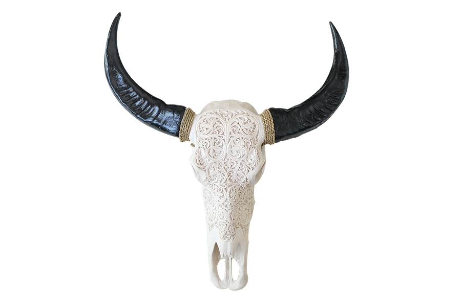 Misbruge Jeg spiser morgenmad junk CARVED BUFFALO SKULL – GOLDEN BOHO – DesignerSkulls – The Best Skulls At  The Best Prices